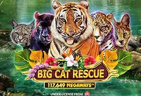 Big Cat Rescue Megaways